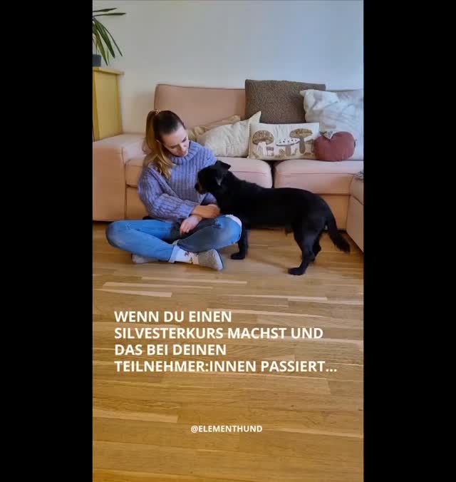 Diese Rückmeldungen berühren mich jedes Jahr aufs Neue 🥹
Hunde, die früher gezittert haben – und jetzt ruhig auf ihrem Platz liegen.
Genau dafür gibt es meinen Kurs „Entspannt ins neue Jahr“ 💫
Wenn dein Hund an Silvester Angst hat, ist es noch nicht zu spät, etwas zu verändern.
Gemeinsam schaffen wir es, dass ihr die Feiertage und den Jahreswechsel gelassen meistert.
✨ Anmeldung nur noch bis Freitag möglich – Start am Samstag!
#silvesterangst #ängstlichehunde #hundetraining #hundeangst #onlinekurs #hundefreunde #hundeliebe