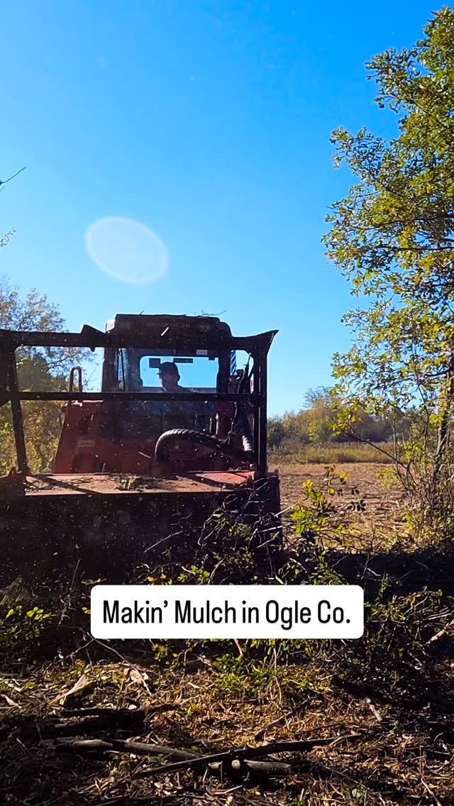 Helping local landowners near Ogle County reclaim overgrown acreage and bring their property back to life. 🌾 Proud to serve our community.
#PrimeHabitatManagement #oglecounty #IllinoisValley #LandClearingPros #SupportLocal
@feconllc