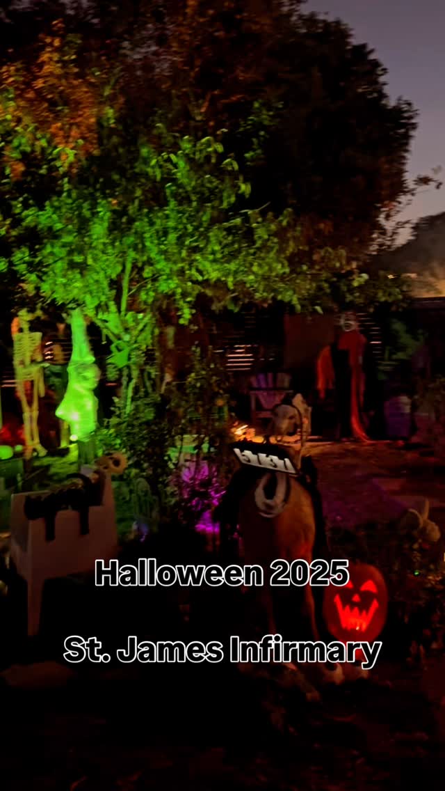 Another video from last night 🎃 👻 featuring “St. James’s infirmary” from @lynnkellerbaygan out now on all major music platforms.
If you really to support artists’ work I’d recommend buying directly from them when you can so head over to https://lynnkellersmusic.com/music and download the album.
#lynnkeller #bigbandjazz #halloween #artdepew #mymansanundertaker #readymixmusic #recordingstudiola #musicproducer #vintagevibes #mixingengineer