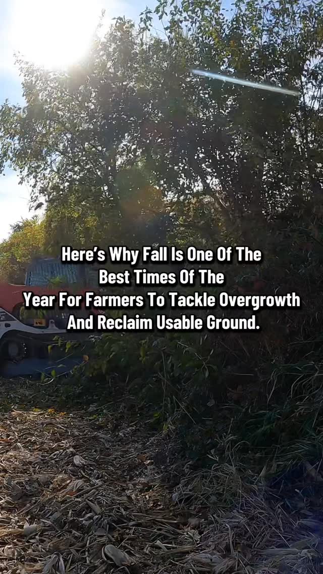 Fall is the perfect window — crops are off, ground’s still dry, and there’s time before freeze-up. If your fencerows or edges are closing in, now’s the time to get ahead of next year’s work.
#PrimeHabitatManagement #ForestryMulching #FarmMaintenance #LandClearing #IllinoisFarmers #FencerowClearing #HabitatImprovement #FallProjects #SoilHealth