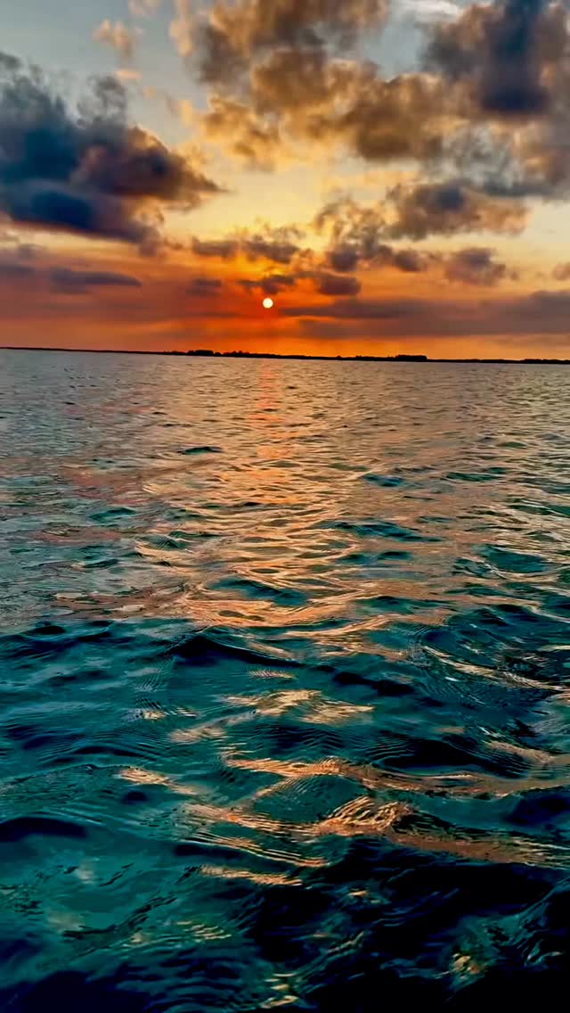 Witnessing sea turtles mating in the crystal-clear waters of the Bahamas is truly a rare and magical sight.
Sea turtles return to the same beaches where they were born to mate, a journey that can span thousands of miles! After mating, the females come ashore to lay their eggs, continuing a life cycle that’s been happening for over 100 million years.
Captured beautifully with the #ProShotCase, built to keep every underwater moment clear and protected.
How old do you think these sea turtles are?
#ProShotCase #ProShotAdventure #underwaterphotography #tidalmask #snorkeling #seaturtles #seaturtlelove