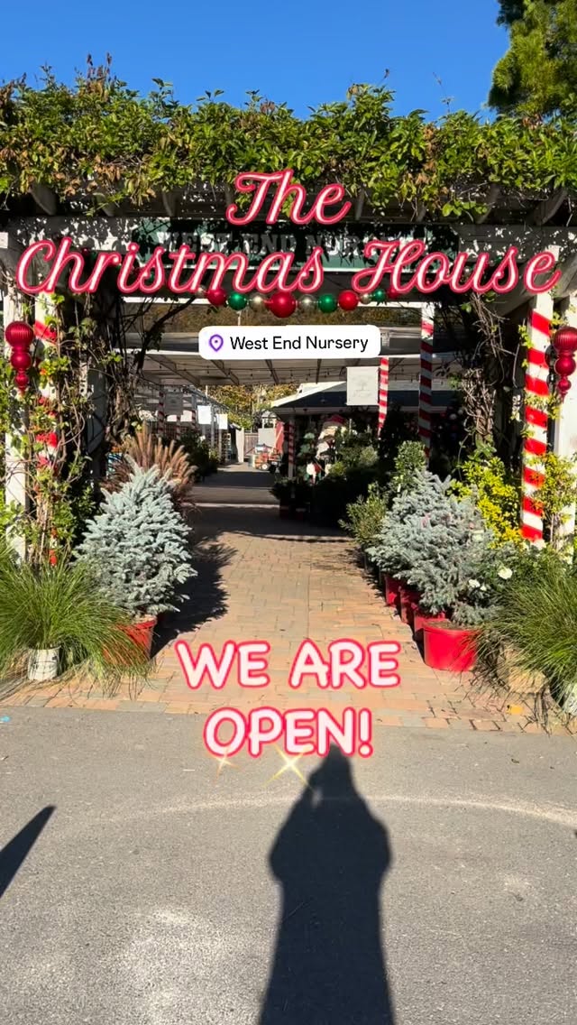 The Christmas House is OPEN! #west_end_nursery Come early for the best selections. #christmasmagic #christmasgiftideas #thechristmashouseatwestendnursery