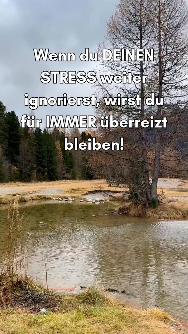 Der Weg zu mehr Ruhe & Klarheit ⤵️
1️⃣ Folge @mindyourchange_by_carmen
2️⃣ Speichere diesen Beitrag,
damit du die 3 Schritte immer bereit hast, wenn dein Kopf wieder rauscht. 💭
Der Kopf dröhnt, du bist ständig „an“ und kannst kaum abschalten?
Hier sind 3 einfache Wege, wie du dein System wieder zur Ruhe bringst 👇
🧘♀️ Atme dich ruhig
4 Sekunden ein, 4 halten, 6 aus, 4 halten
Diese Atmung aktiviert deinen Vagusnerv – dein innerer Reset-Knopf für Ruhe und Fokus.
🌿 Geh nach draussen
10 Minuten Natur senken nachweislich Cortisol.
Du wirst spüren, wie dein Kopf leichter und dein Blick weiter wird.
🌸 Nutze ätherische Öle
In 22 Sekunden erreicht ihr Duft dein Gehirn, in 2 Minuten dein Blut.
Sie helfen dir, dein Nervensystem sanft zu regulieren – natürlich und effektiv.
Kleine Schritte – grosser Effekt.
Mach heute den ersten – dein Körper wird es dir danken.
#stress #gesundheit #coaching #ätherischeöle