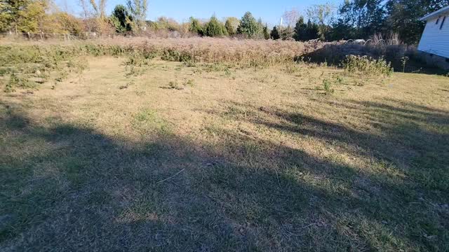 Welcome Milo to the first day of board and train!