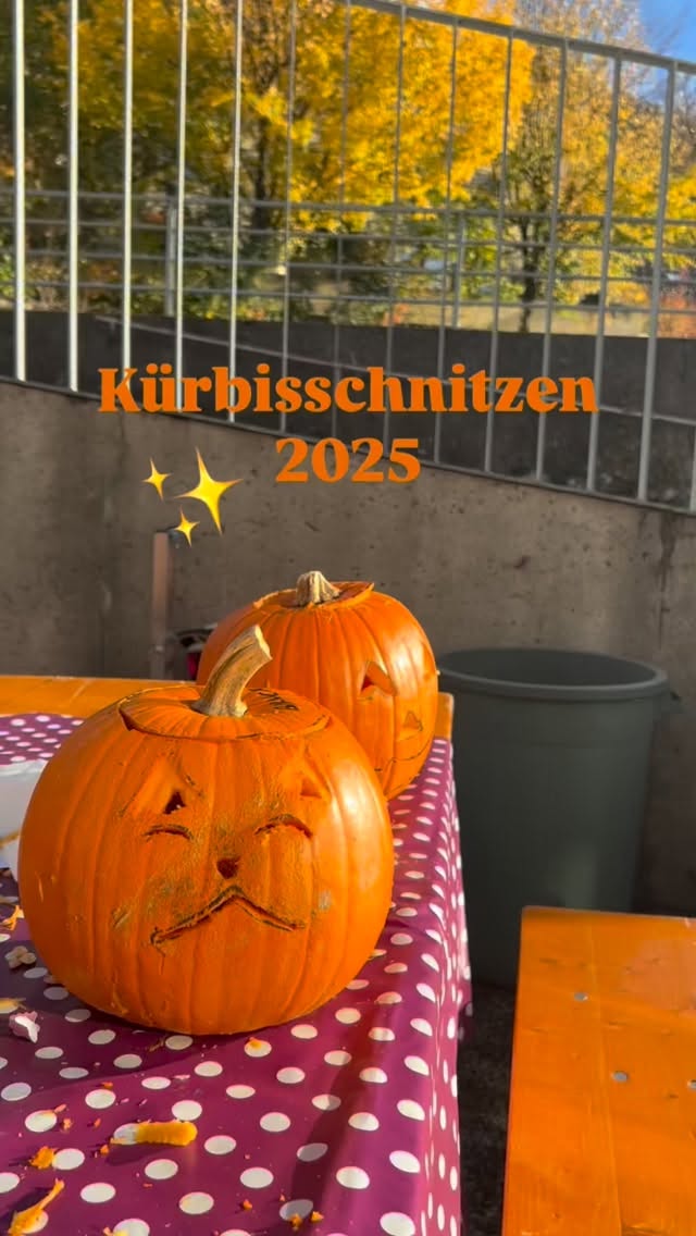 Ein kleiner Rückblick zum diesjährigen Kürbisschnitzen🎃🤩
#ennetbaden #cube #jeb #jugendarbeit #kürbisschnitzen