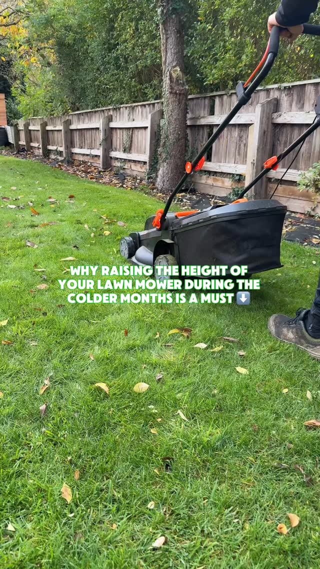 If you are a keen gardener and still planning on mowing your lawn over the colder months, then you need to be raising the height of your mower. This will help to protect the grass so it’s bounces back stronger for next spring 🌱
#greengrass #lawncare #lawn #grass #gardening