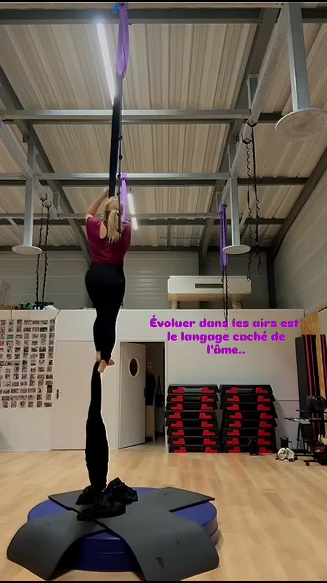 Bien plus qu'un cours de tissu
Oui on travail
- la force
- le gainage
- la souplesse
Mais surtout on développe
- la confiance en soi
- on apprend à parler avec son corps
- on partage
- on s'entraide
- on ri ... beaucoup ! 🩷
N'attendez pas d'être prêt pour commencer une activité qui vous plait
Essayer ! Osez !
Venez chaque mercredi à 20h passer un moment hors du temps avec nous quelque soit votre niveau
Merci @sophie_la_piva pour cet enchaînement et tes cours de qualité