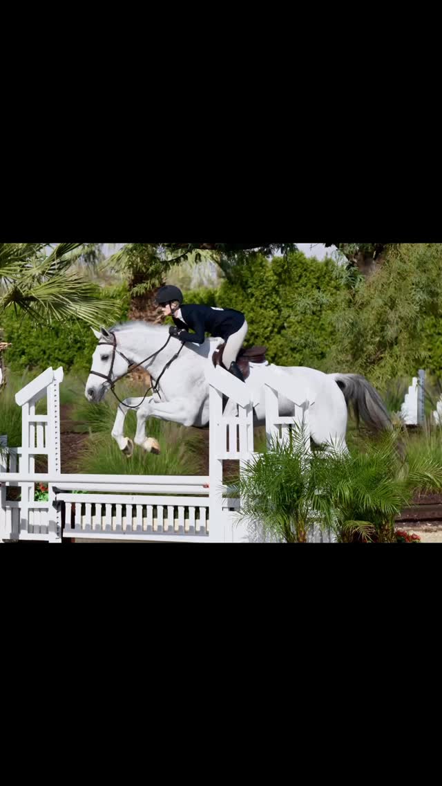 Sunshine 2 is off to a great start!! Sooo many thanks to @emma.lindstromm for all the great rides and hard work to get our horses feeling and going their best 😍
Looking forward to the weekend with this FUN group 💕😃