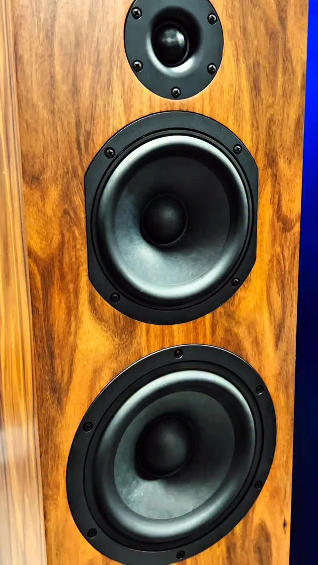 Criton 3TD-X kit build with upgraded Jantzen Amber Z-Caps.
CSS-audio.com