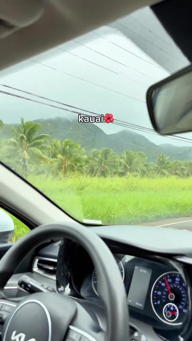 Kauai has my heart! 💚 #gardenisle #kauai #hawaii #aloha #kapaa