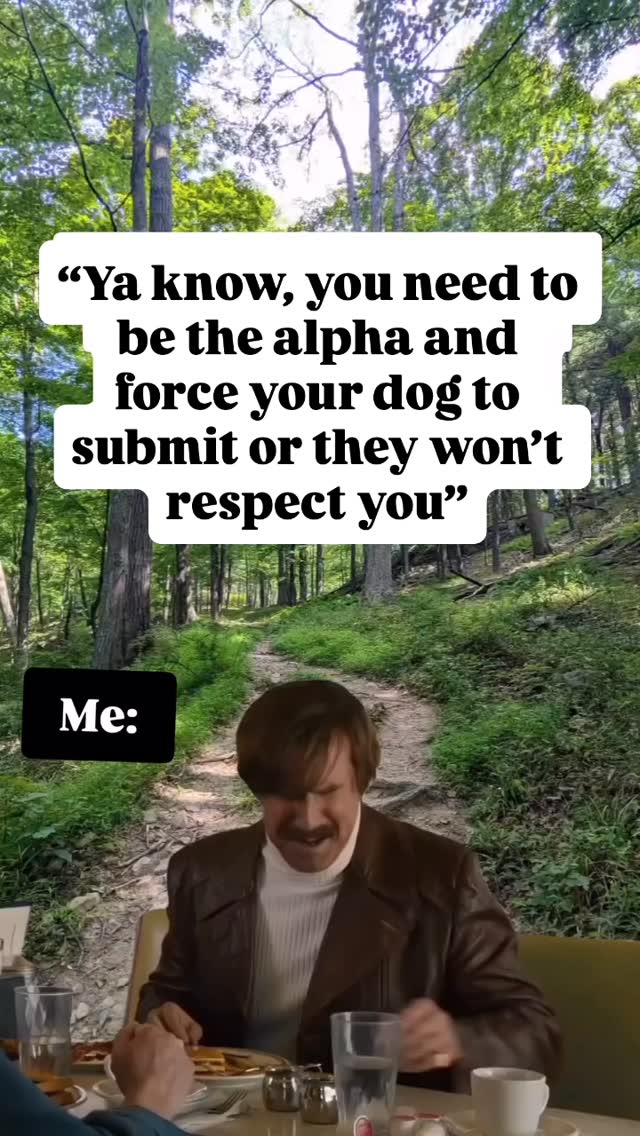 Actually full offense! 💅
Be wary of the advice you take from others when it comes to YOUR dog.
Dog training is a pretty unregulated industry. You wouldn’t let just anyone perform medical procedures on your dog, you want a certified professional!
The same should go for your dog trainer or behavior consultant. Look for certifications and continued education, ask questions about methods and be sure you feel comfortable before letting someone handle your dog.
•
•
•
#dogtraining #positivereinforcementdogtraining #alphatheoryisdead