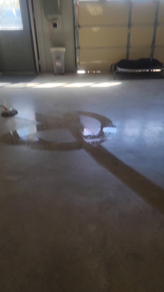 Buddy hanging out with us while we clean!