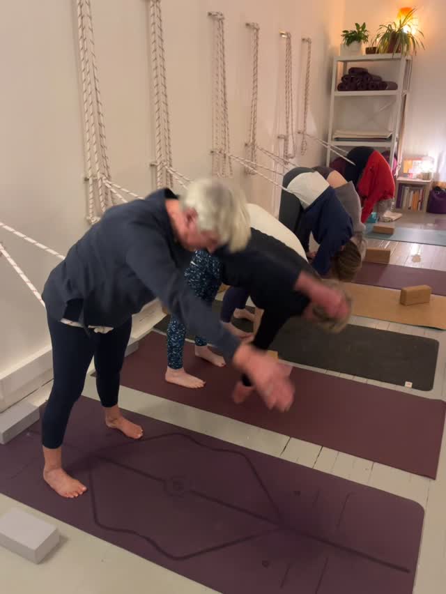 This week @studioharmony19 #yogakurunta with #yogaropes and #backwardextensions on #yogachairs
#purvapratanasthiti #yogabackbends #backbendweek
#bonarhutchisoniyengaryogateacher #certifiedlevel3iyengaryogateacher
#iyengaryoga #iyengaryogauk #yogasarvasya #yogaglasgow