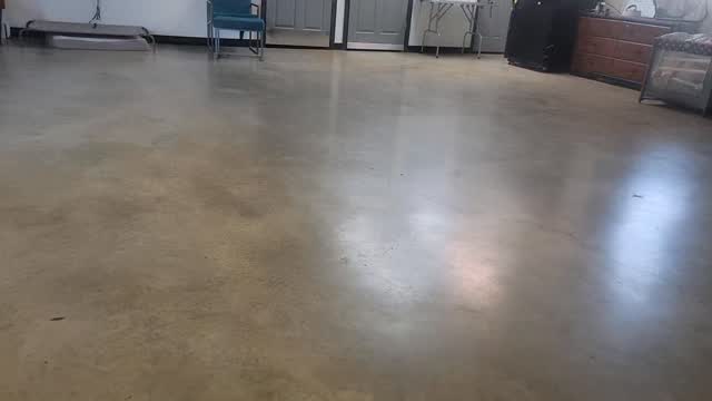 Switching positions with Milo!