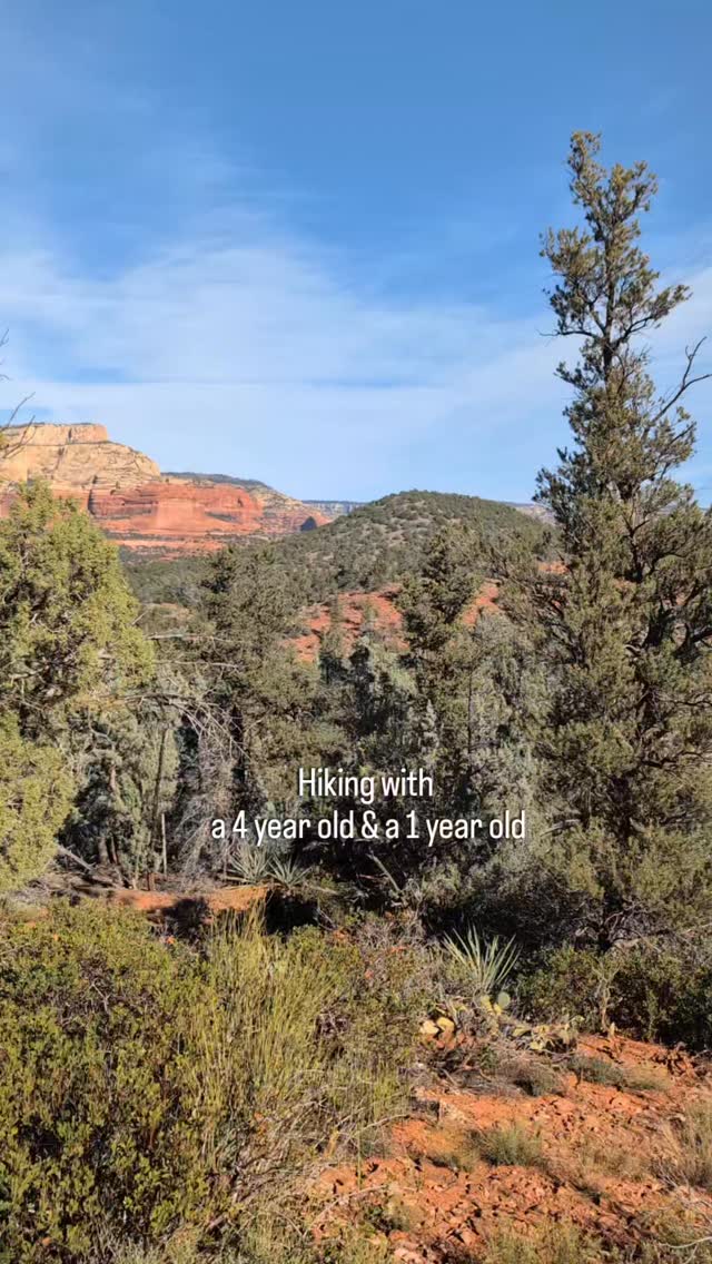 Hiking with a 4 year old & a 1 year old
🥾🌲🪨 🎒
1) Focus on enjoying your tasty little view! Parenting is hard, might as well do it with a view 🏔️
2) Bring snacks & water! Be prepared to stop for little breaks and have easy on the go snacks 🥪
3) Be prepared - the weather varied so much for us! We wore layers and packed extra jackets, hats, and gloves. We added and shed layers throughout! ☀️
*It's also important to know how long the hike is and what the elevation change is. Check it out on @alltrails before you go!
4) Play games and sing songs to pass the time. Some of our favs include ISpy, Wheels on the Bus, Golden, and Going on a Bear Hunt. We even pretended to be in our own "Magic Treehouse" book! 🎶
5) Have a plan for when they will inevitably get tired. Will they ride on your shoulders or back? Do you have a baby carrier?
*We loved our @minimeis shoulder carrier and @tushbaby (for baby naps and even 4 year old piggy back rides) 👶🏼
What else would you recommend for hiking with littles???