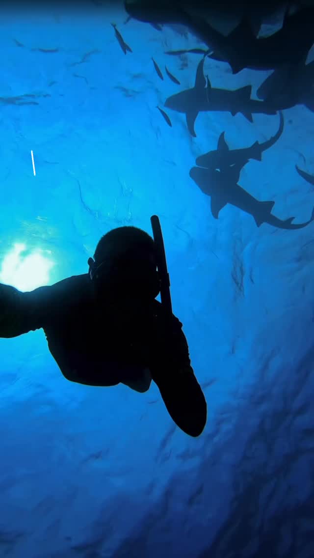 ALMAR Profundo 💙
Arte, Realidad virtual, animaciones, copa de bienvenida y mucho más.
Será una noche para sentir el océano, aprender y disfrutar. 🥂✨
🎟️ ENTRADAS DISPONIBLES — 🔗LINK EN LA BIO
#territorioalma #barcelona #oceanlovers