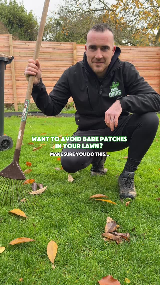 Make sure you pick up leaves on your lawn and here’s why 🌱⬇️
Over time leave scan suffocate your grass, killing it off underneath which leaves bare patches. These then take more time and effort come spring to get them back around. A simple few minutes clearing up leaves can save time next year
#lawncare #lawn #greengrass #gardening