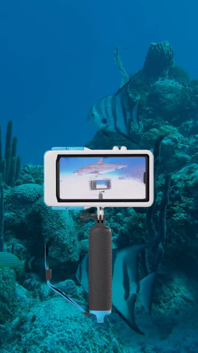 Take your phone where the adventure goes. 🌊📸 The #ProShotTouchCase is built for the bold. Capture every moment. 🏝️ #ProShotCase #underwaterphotography #tidalmask #proshotadventure
