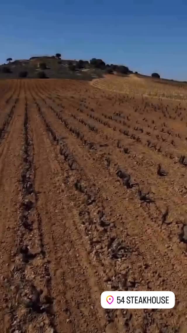 Aalto Wine Dinner🍷
Monday, 24 November | 7pm
Do not miss this rare event.
Cheers!
@ewineasia
#54steakhouse #singapore #singaporefood #singaporewinelovers #amoystreet #winesg #winedinner #aalto #sgsteak