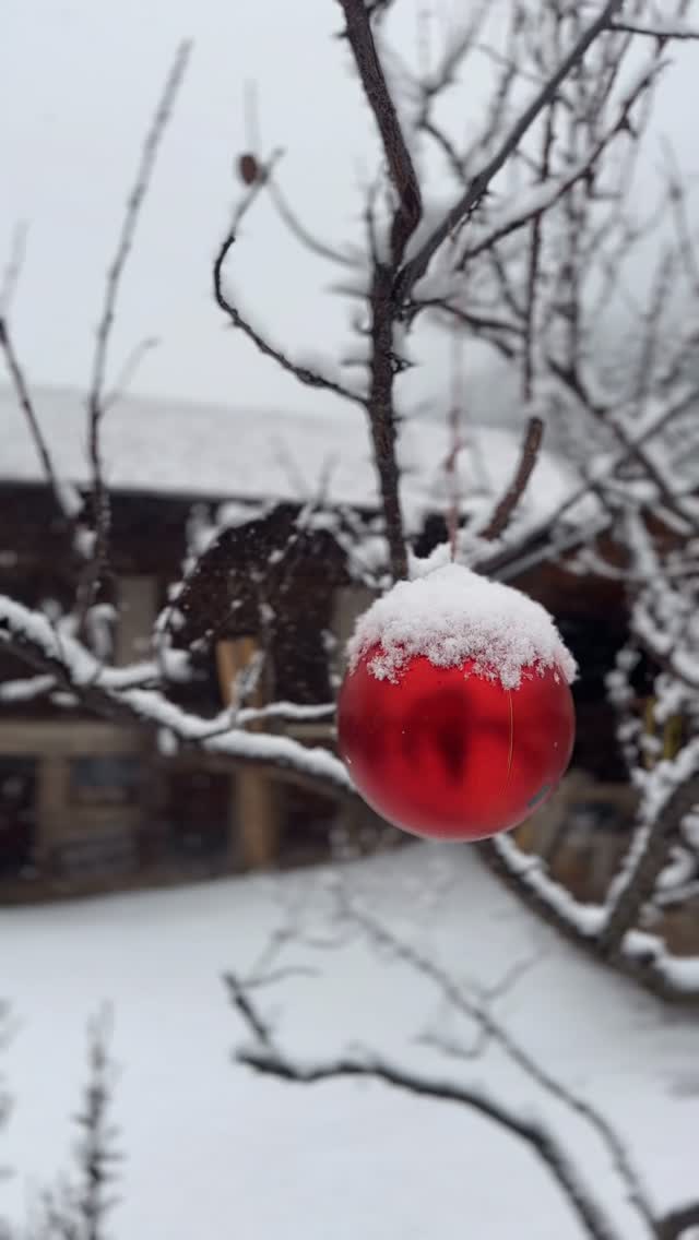 Buon Natale💫