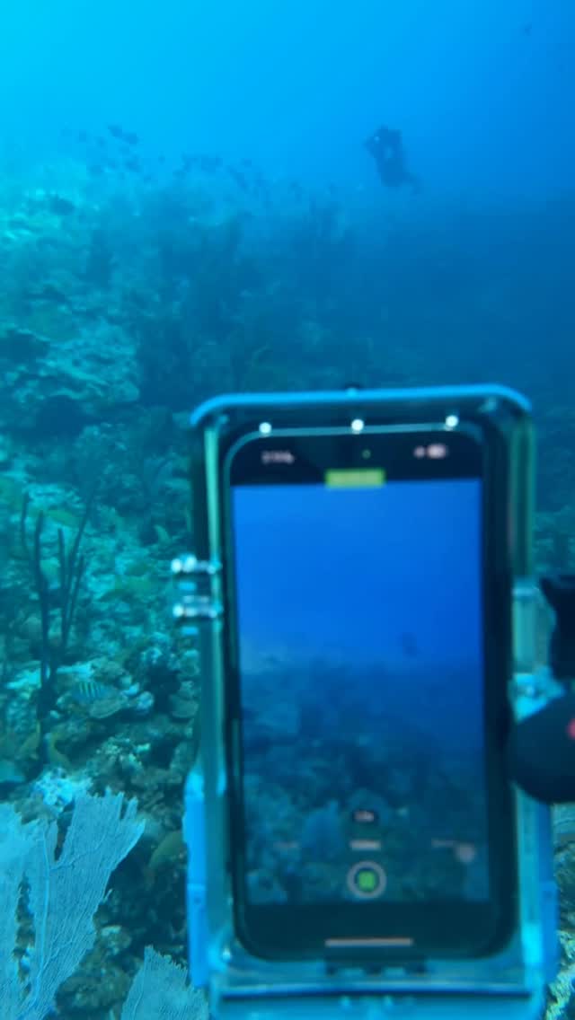 Red filters bring color back to underwater footage by correcting blue-green color loss, giving you clearer, more vibrant video at depth. Share with your dive buddy for more tips! #Proshotcase #underwater