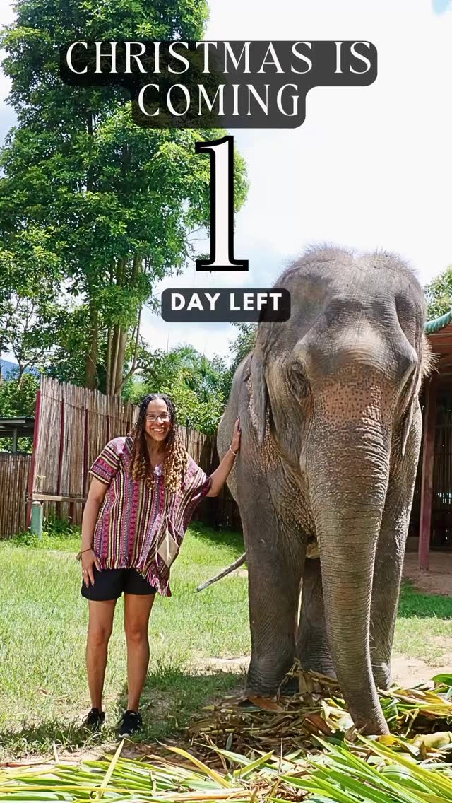 Day 12 of 12 Days Until Christmas: Christmas Eve Gratitude🎄
Feeling extra grateful tonight, for the people who make life brighter, the moments that shaped this year, and the magic woven through the season. Merry Christmas Eve, friends!
#christmaseve #gratitudeheart #12daystillchristmas #myrooftopstories