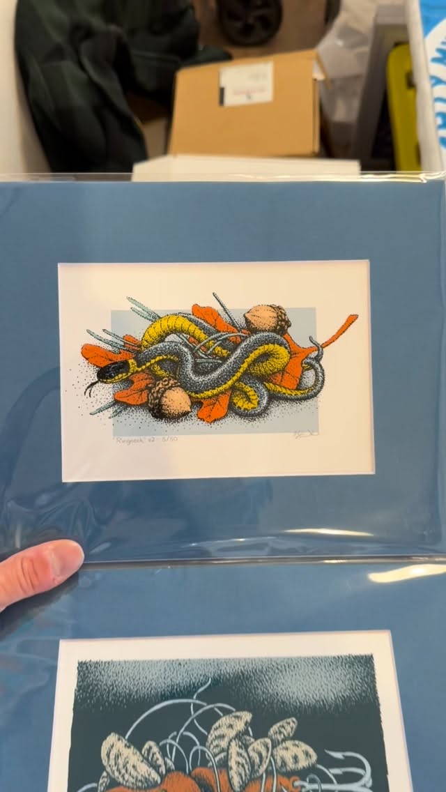 Brought some limited edition colorized prints of some pen & ink drawings to @rac.ypsi today due to the overwhelming popularity of snakes and lake litter 😂 As everyone knows, demand for this subject matter is insatiable.