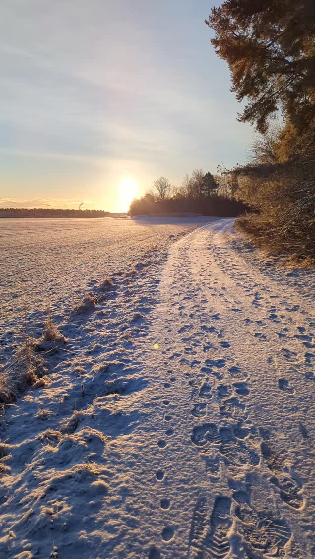 Tack för det gamla och gott nytt år ✨
2025 har varit ett innehållsrikt år, som har haft med sig många bra och några lite mindre bra dagar. Jag har blivit bättre på att säga ja till rätt saker, och även om det fortfarande är många bollar i luften rullar dom oftare åt samma håll. Jag har också fått möjlighet att träffa nya människor som har gett inspiration och visat väg.
Jag ser fram emot 2026, och väljer att tro det blir ett bra år!
Mina nyårslöften är som förra året att spendera mer tid med vänner och familj, och planera in mer tid för återhämtning 🌱 Jag vill oxå ha mer träningsvärk 💪🏼😅
Önskar dig ett grymt nytt år!
Kram 💛