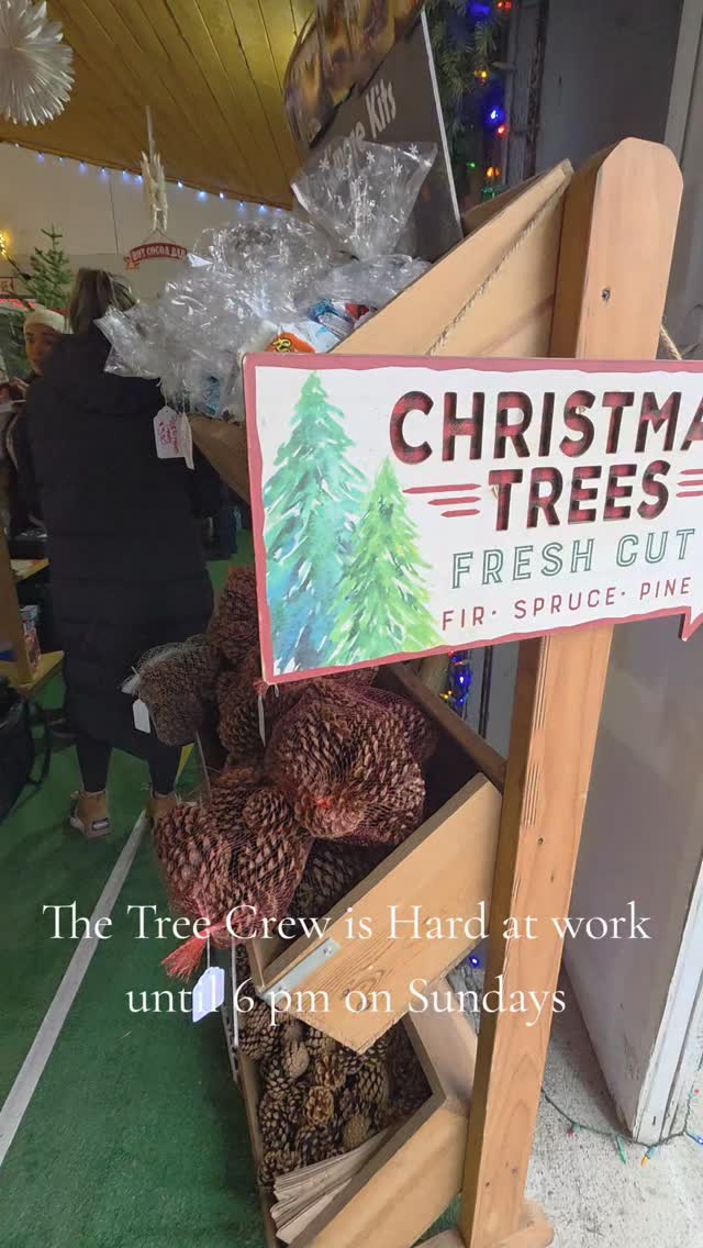 Find your Perfect Tree at DairyLand Venue In snohomish 🎄🥰