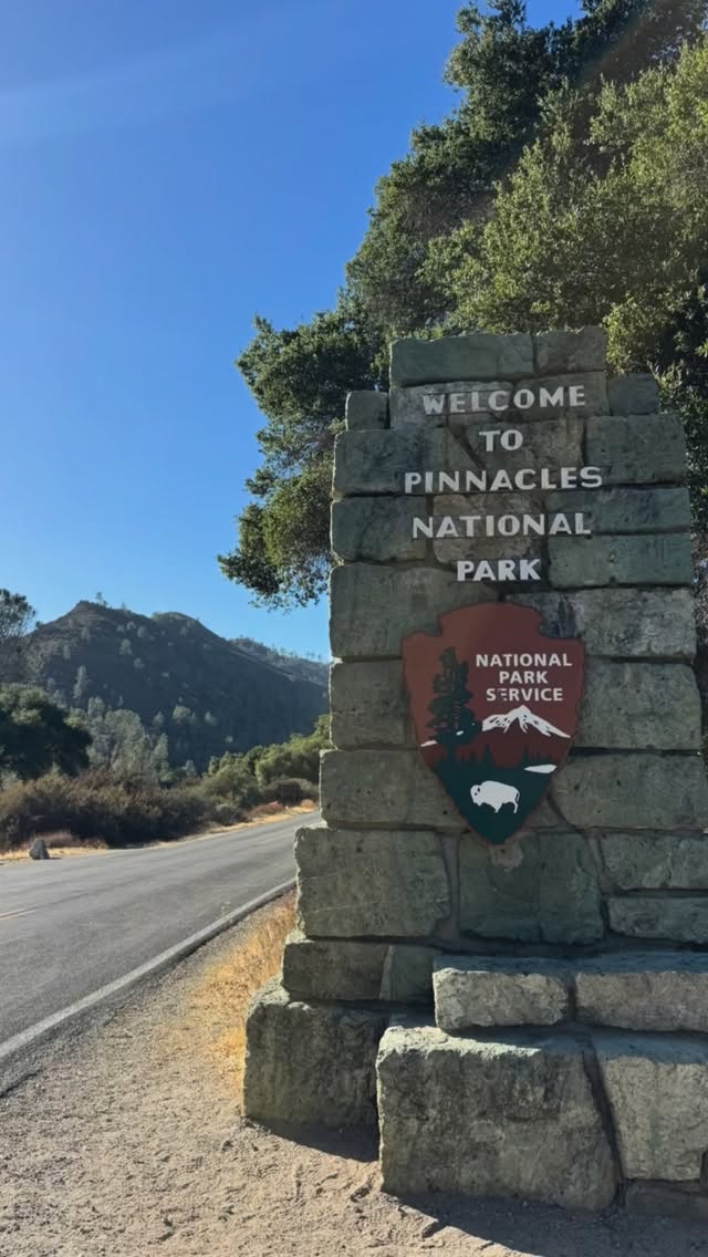 Pinnacles National Park is a short drive from the San Jose Bay Area, but a world removed from the Silicon Valley life. We are so lucky to have so many majestic sites in close proximity to our homes.
.
.
.
#savenationalparks #pinnaclesnationalpark #californianaturalist #bayarea #siliconvalley #givethanks #caveexploring #hiking