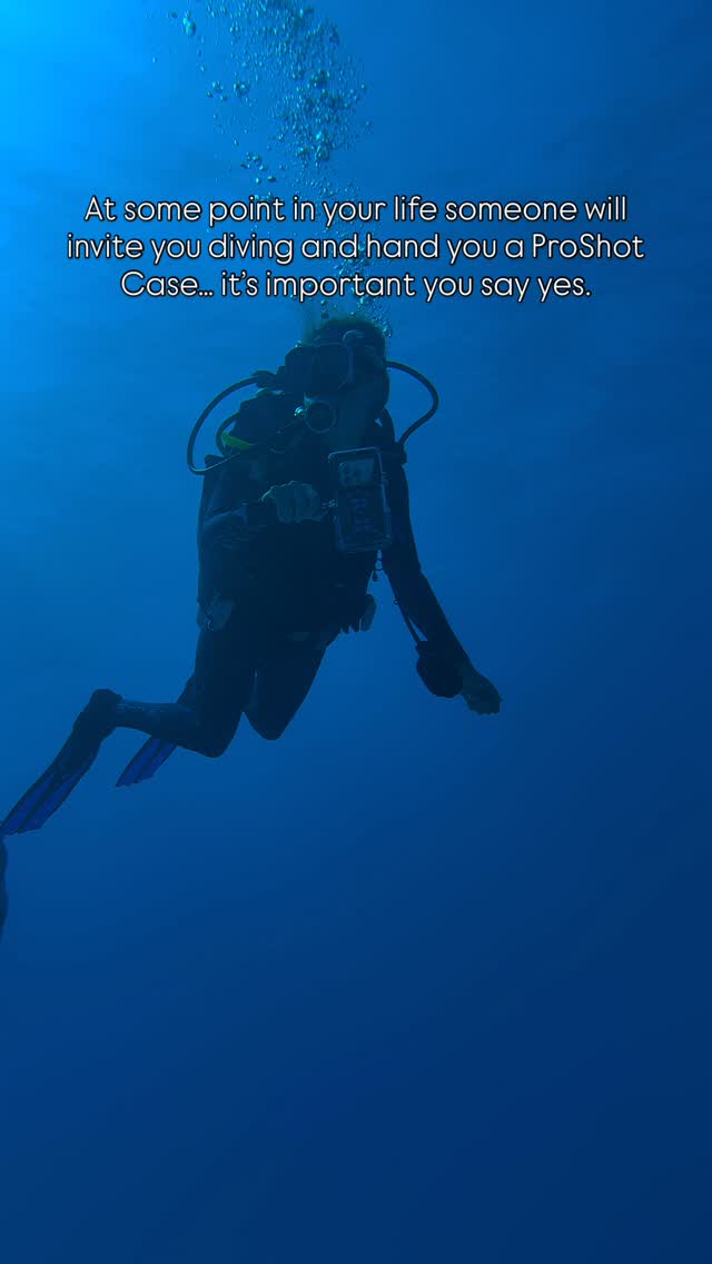 This December, your order does more than arrive at your doorstep — it makes a difference.
Use #SAVETHEBLUE20 for 20% off, and we’ll donate 20% of every purchase to @savingtheblue.
Together, we can help protect and restore marine life. 💙🌊 #ProShotCase