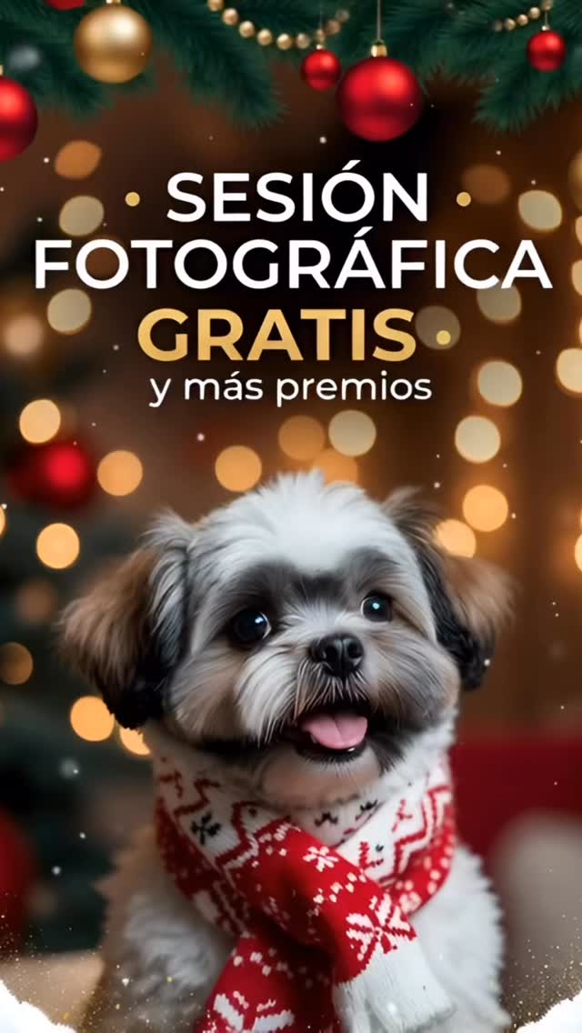 🎄 ¡GIVEAWAY NAVIDEÑO! 🎁
Del 4 al 18 de diciembre podrás participar para ganar premios increíbles para tu peludito:
🥇 Sesión fotográfica gratis
🥈 1 Cama Premium
🥉 Kit de plato de silicón + mantequilla de maní
✨ ¡Todos ganan!
Si no quedas en los primeros 3 lugares recibirás 15% de descuento en grooming completo en nuestra tienda.
¿Cómo participar?
1️⃣ Seguir @delmondo_pets y @photo_analu
2️⃣ Comentar el nombre de tu perrito y menciona a un amigo
3️⃣ Pública el post en tus historias
💬 Entre más comentarios hagas, ¡más oportunidades tienes de ganar!
🎁 Los premios se recogen en nuestra tienda física.
🎅 ¡A participar y a consentir a tu peludito esta Navidad!