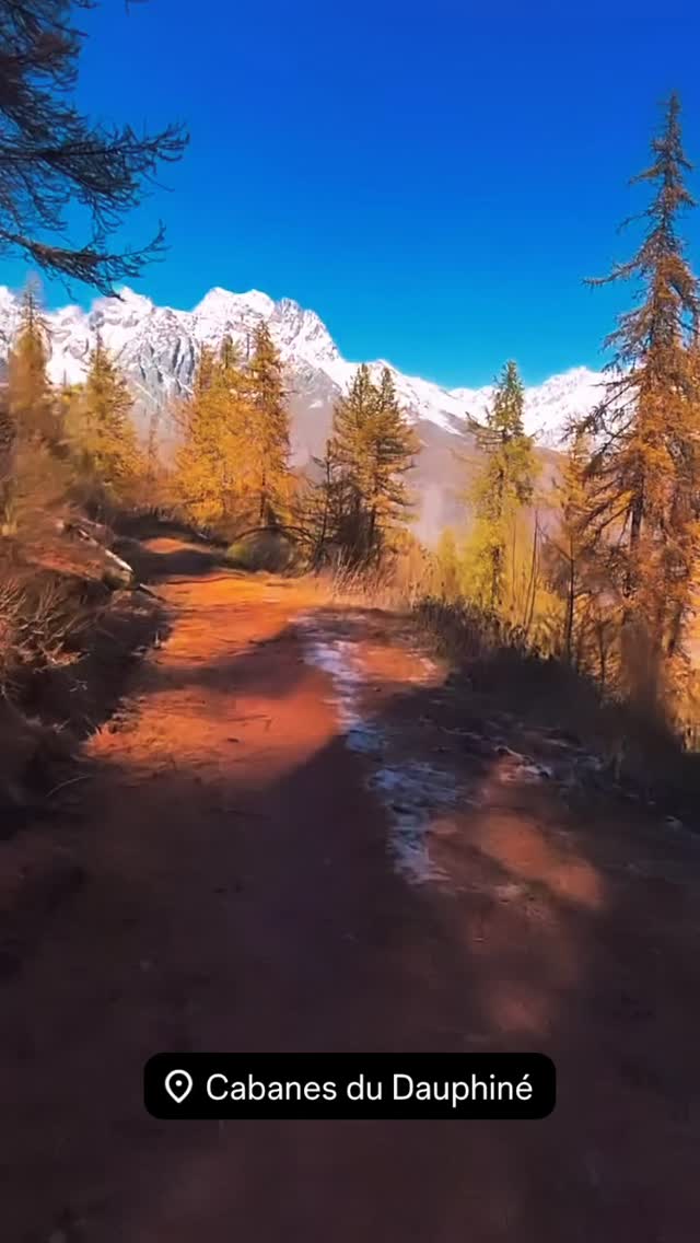 Dans un écrin de nature et de silence, nos cabanes vous promettent une parenthèse rare, chaleureuse et mémorable. Offrez-vous une expérience unique, à seulement 4Km de Gap.
