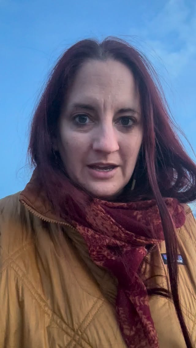 Feeling foggy after a day drawing on the iPad. So raced to get out into the prettiness for a few minutes! But it’s so cold! #artistbreak #artistinspiration #goodshipillo