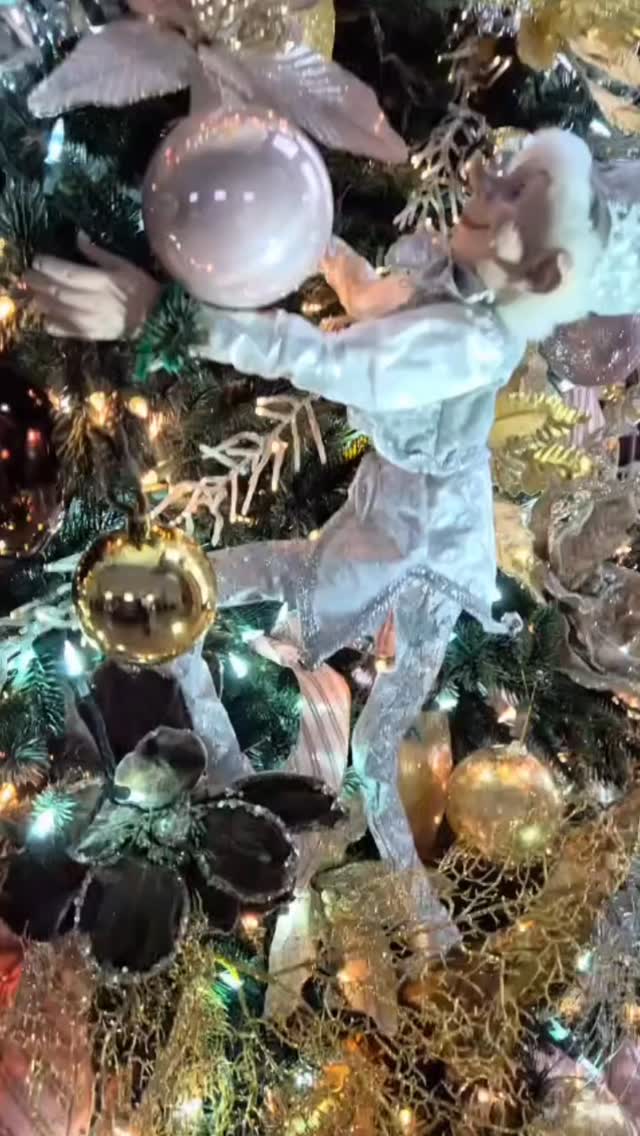 Welcome to the most beautiful time of the year!!!!!!