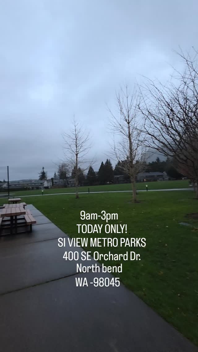 I brought a lot of our smaller size carvings to this one day sale at Si View Community Center. SHOP TODAY Saturday December 6, 2025 from 9am - 3pm. Address: 400 SE Orchard Dr. NOTHBEND WA 98045