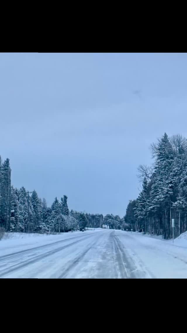 Yesterday the WRISC crew drove down to the Torch Lake area for an Hemlock Woolly Adelgid (HWA) training. Just as we have done in the past, our crew will be doing surveying for HWA in parks and on private properties this December through March 2026. Menominee residents, do you have hemlock trees on your property? We can survey your property for free!