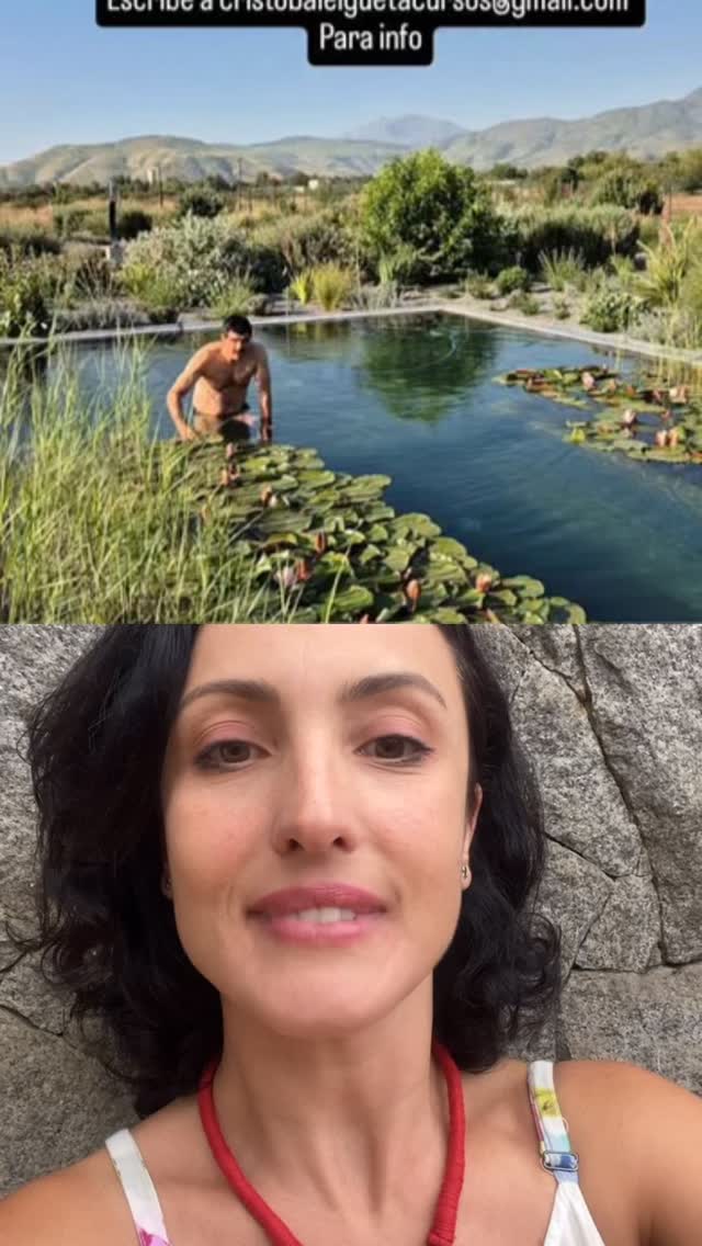 🇧🇷Esta é uma piscina biológica - água absolutamente limpa sem necessidade de cloro - sua filtragem é feita através de plantas. Tivemos a honra de aprender sobre este sistema com Cristobál Elgueta do @paisajismoecosistemico paisagista Chileno que esteve em São Paulo esta semana, em um curso incrível organizado por @paisagismoregenerativo . Adorei aprender ainda mais sobre este assunto e o poder das plantas em transformar os lugares e as experiências das pessoas
.
This is the basis of biological biology – it is absolutely essential that chlorine is present – so that filtration is done by plants. Stay tuned for your next visit to Cristobal Elgueta from @paisajismoecosistemico, a Chilean landscape architect who was in São Paulo this week for an incredible course organized by @paisagismoregenerativo. I loved learning even more soberly about this subject and the power of plants to transform places and people’s experiences.