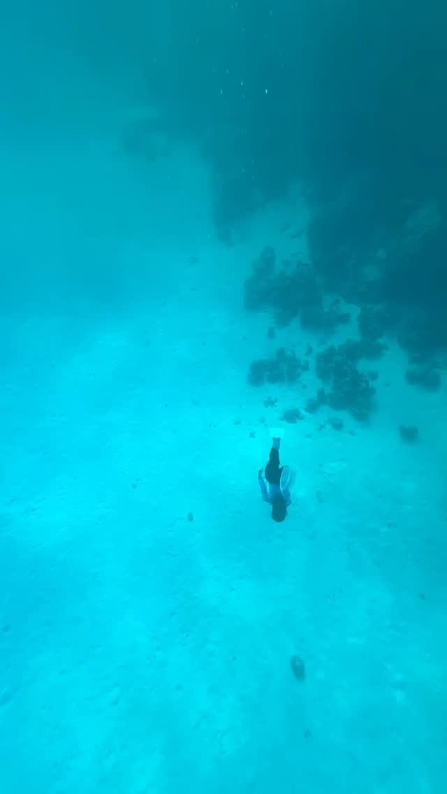 She’s one of those girls who lives for the underwater world, always exploring with her #TidalMask by her side. This time, she took her very first freedive, one breath, one fearless leap into the blue. And if it weren’t for the #ProShotCase, this unforgettable moment would’ve lived only in her heart and in the eyes of the friends who witnessed it. Alis calls it one of the most overwhelming, unforgettable adventures she’s ever experienced. 🤿🌊🧜🏻♀️