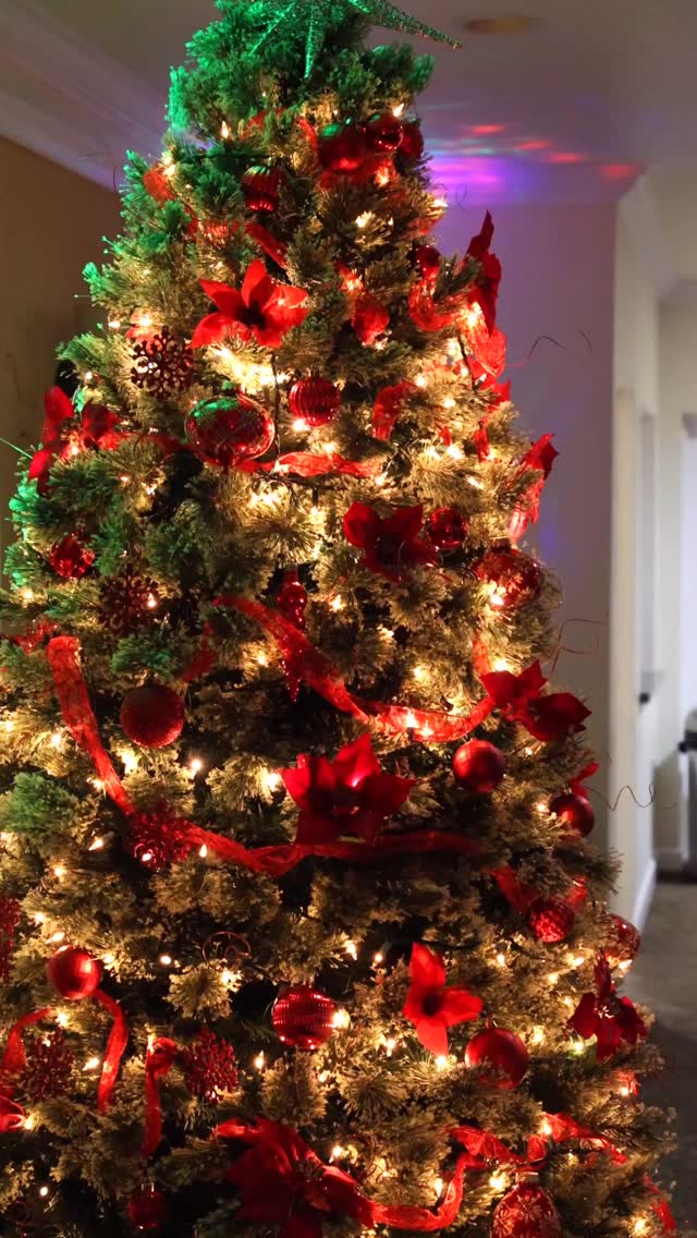 Celebrating the season with our amazing friends @gulfcoastregroup🎄✨ Loved capturing their festive Christmas party and the joy of their incredible team. Grateful to work alongside such a fantastic group! 🥂📸
.
.
#swflrealestate #naplesrealestate #swflrealtor