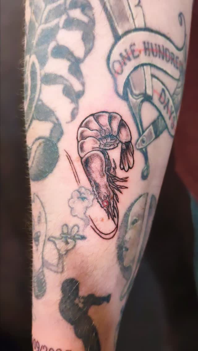 Fun little gap fillers coming all the way from Saskatchewan! 🙏🏻🦐🔥🦷🔺
Now booking for 2026- click the link in bio to book!
#tattoo #zentattoo #tattoos #floraltattoo #asiantattoo