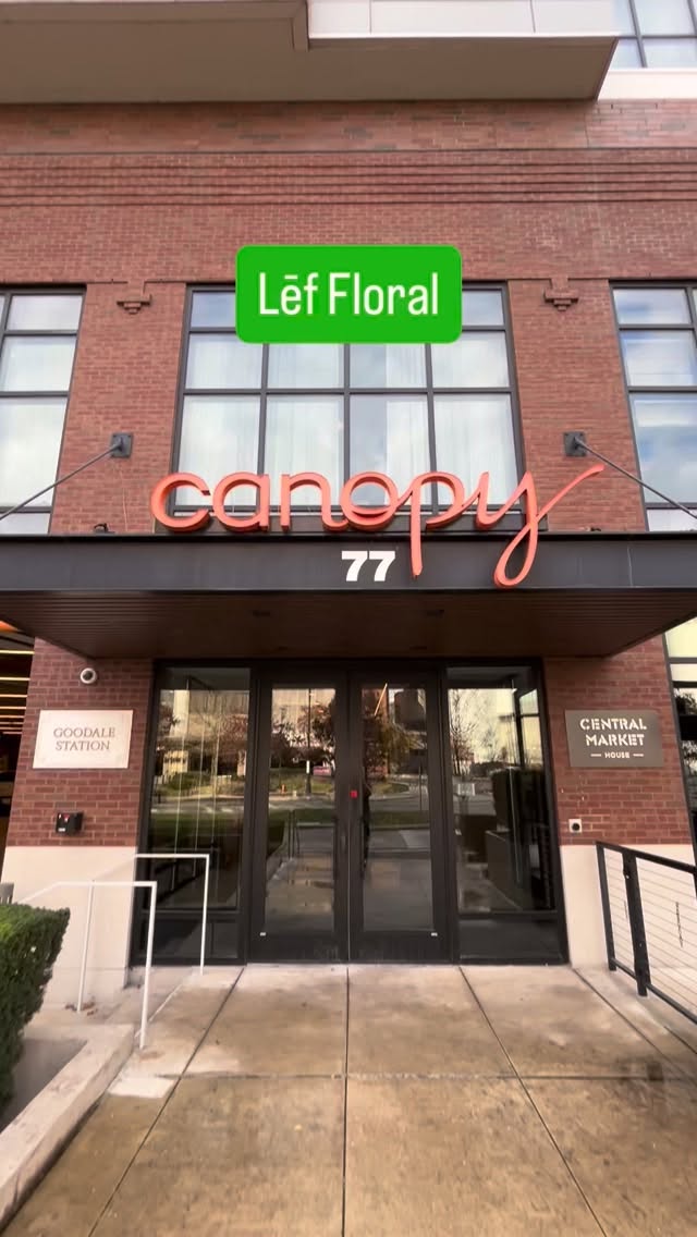 Giving our favorite Columbus moss wall a quick refresh before the holidays! Another of our many services.
www.leffloral.com
243 N 5th St.
Columbus, OH 43215
614-254-6280
#columbusohio #614 #columbusbusiness #cbus #614florist
