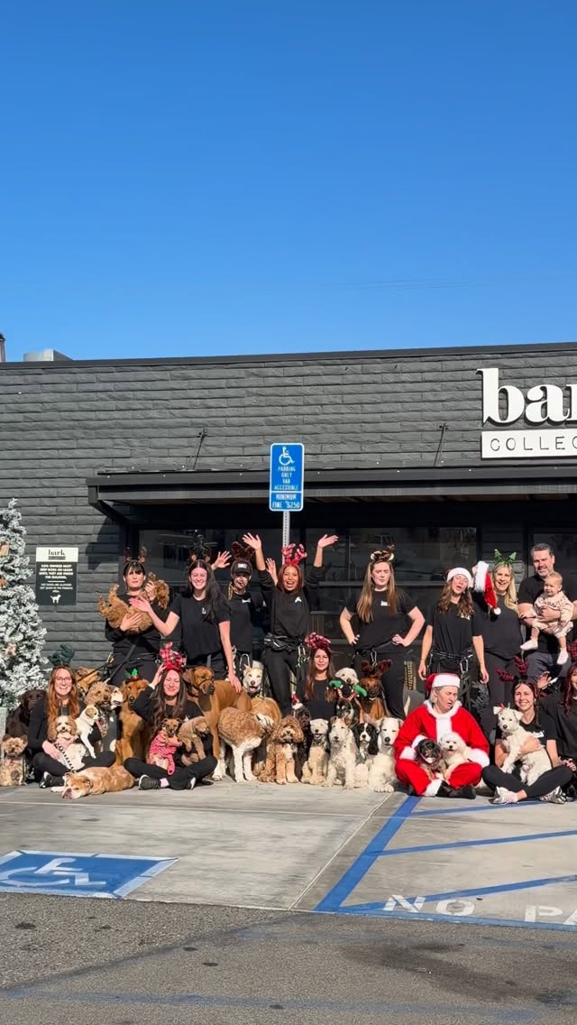 Merry Christmas from all of us at Bark Collective 🤍🎄
This annual photo is one of our favorite traditions and a reminder of how grateful we are for our incredible team, your amazing dogs, and the community that supports us every single day.
Thank you for trusting us with your pups and for being part of our Bark Collective family. Wishing you and your dogs a joyful, cozy holiday filled with love.
With love,
Dan and Jillian
P.S thanks to the best photographer for always capturing the chaos that is 85 plus dogs in a photo 😂🐶 @karissa.ferrer