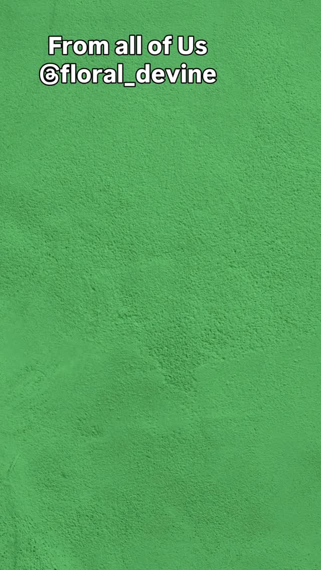 Wishing all of you a very Merry Christmas from all @floral_devine #peaceonearth🌎 #goodwilltoall #huntershillflorist #merrychristmaseveryone