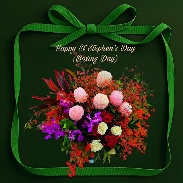 Lá Fhéile Stiofáin sona duit! - Happy St Stephen’s Day! @floral_devine Peace & Goodwill to all on the second day of Christmastide #ststephensday #boxingday #christmas #peace #goodwilltoall