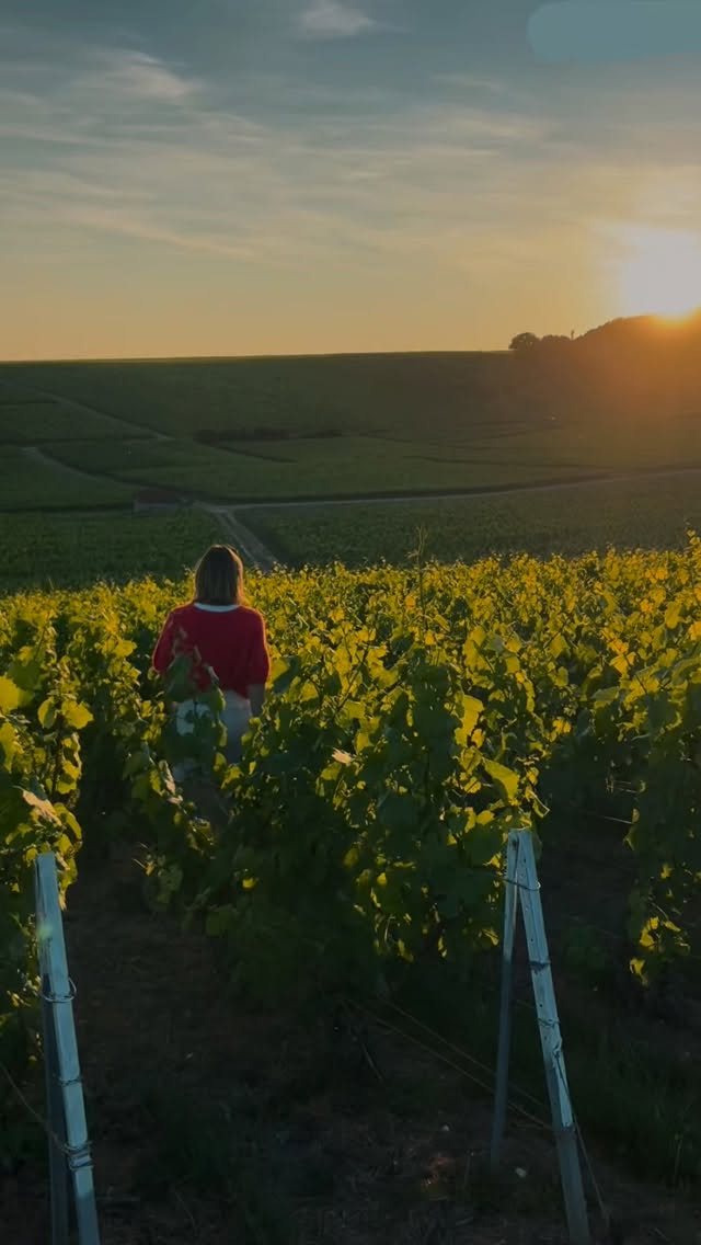Merci pour votre fidélité, votre gentillesse et votre confiance ✨
On vous attend l’année prochaine 💫