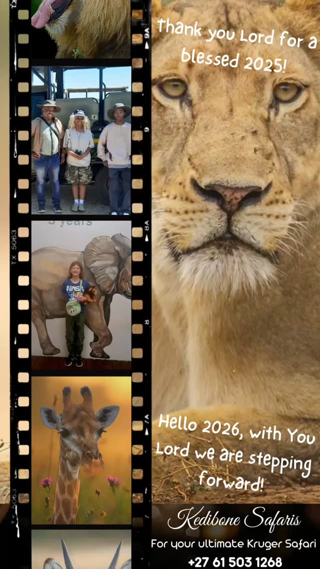 Have a blessed 2026, happy new year to you all! π¦β¨οΈπ
Thank you so much for supporting my small business over the past year. I am incredibly grateful to all the guest houses and lodges that have entrusted me with their guests and to everyone who joined me for a safari in our beautiful Kruger National Park. You are all truly part of my extended family, and your support means the world to me.
I am looking forward to an exciting year ahead and canβt wait to share more adventures with you. πΎπΎ
Psalm 23:1 The Lord is my Shepherd, I have all I need ππ
Follow:π
@kedibone_safaris
#happynewyear #2026
#krugertour #specialmoments #kedibonesafarifamily
@krugernationalpark @phalaborwa.co.za @renataewaldwildlifephotography @meetsouthafrica