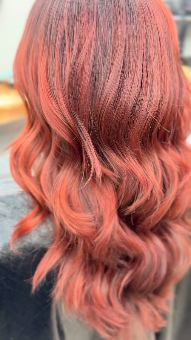 ✨2 0 2 5 ✨
Just a handful of beautiful clients from throughout the year.
Thank you for supporting me. Especially through 2025. It was a doozy.
I can’t wait to see you in 2026. Cheers to new beginnings, amazing relationships, and of course, great hair.
#levelheadedhairdesign