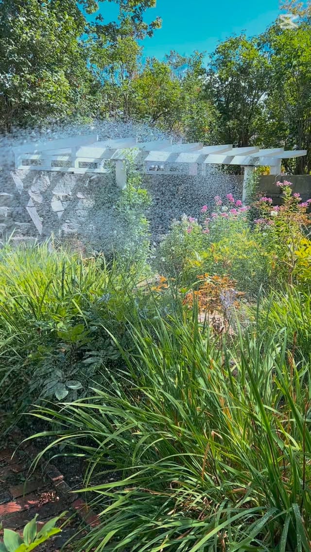 Is this your sign to join the garden club in 2026? 🌷👒✨
… … …
Absolutely! 🌹🌸💃🏻🌻🪻
#gardenclubofwiscasset #2025wrapped #midcoastmaine #gardenclub #maine