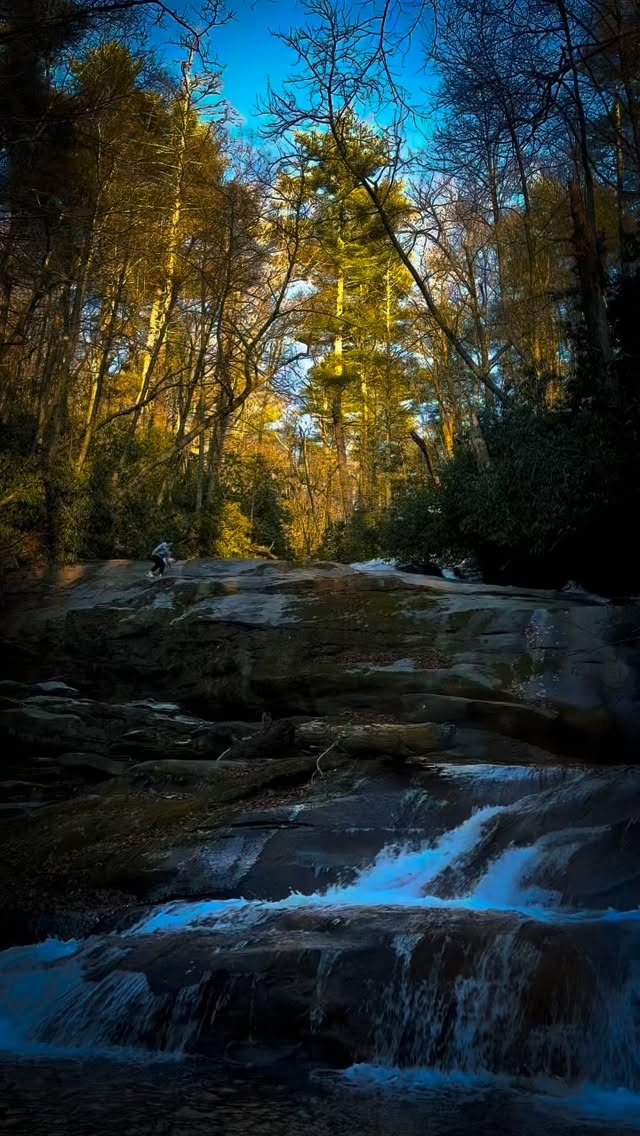 Highlands, NC ❤️☀️#poodle #poodlepuppy #nye #travelwithdogs